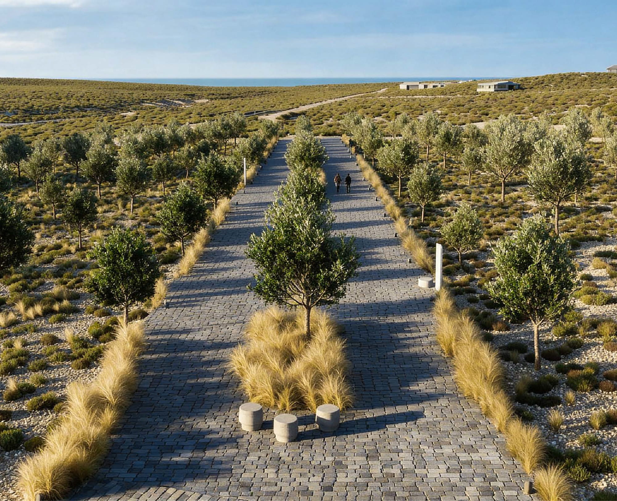 Paseo del Olivar multivarietal La Providencia